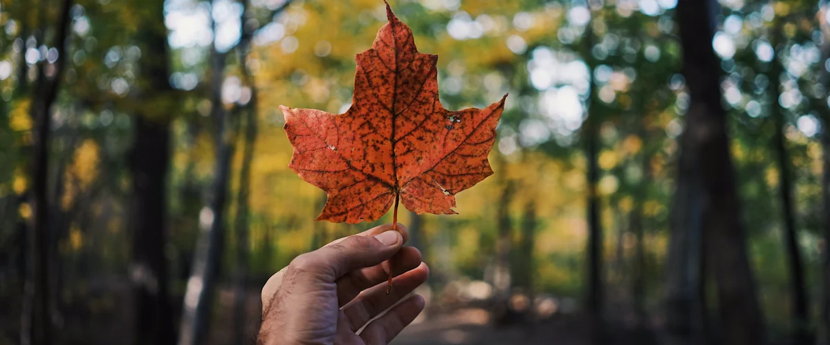 Cómo Emigrar en 2026: Requisitos para emigrar a Canadá